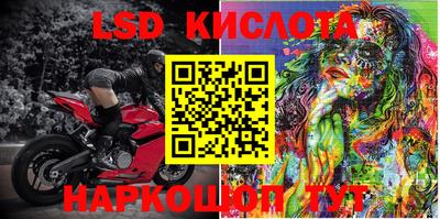 ГАЛЛЮЦИНОГЕННЫЕ ГРИБЫ Сланцы
