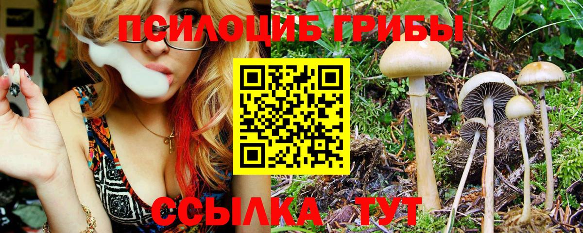 Псилоцибиновые грибы ЛСД Орск