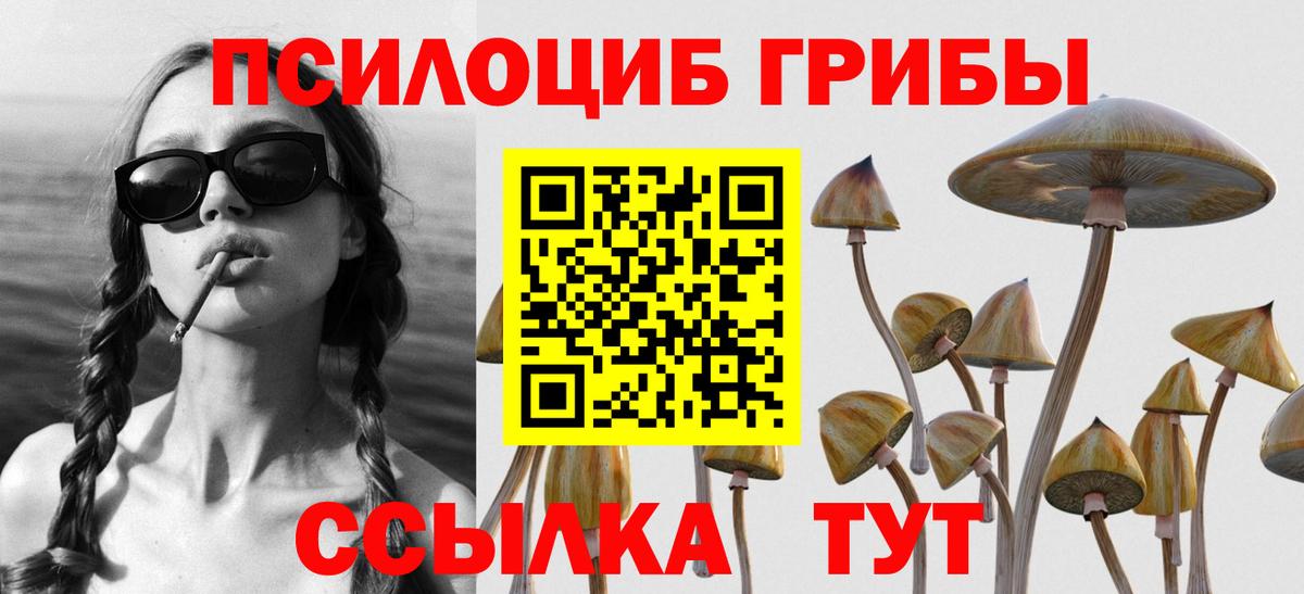 Орск  Галлюциногенные грибы мицелий  Псилоцибиновые грибы прущие грибы  Вход с VPN 